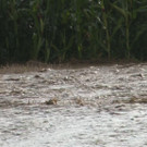 Sequenz 01_6_Kopie.jpg