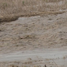 Sequenz 01_Kopie.jpg