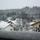 IMGP3192.JPG