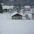 IMGP3193.JPG