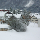 IMGP3194.JPG