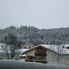 IMGP3203.JPG