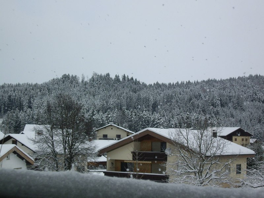 IMGP3203.JPG