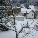 IMGP3204.JPG