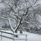 IMGP3206.JPG