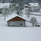 IMGP3195.JPG