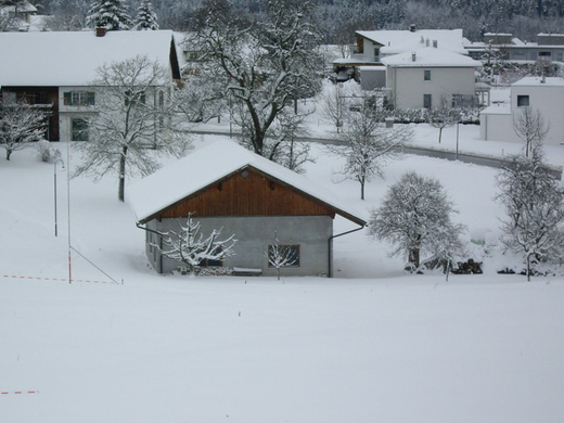 IMGP3195.JPG