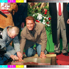 432900.jpg