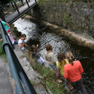 IMG_0787_JPG-1343655266