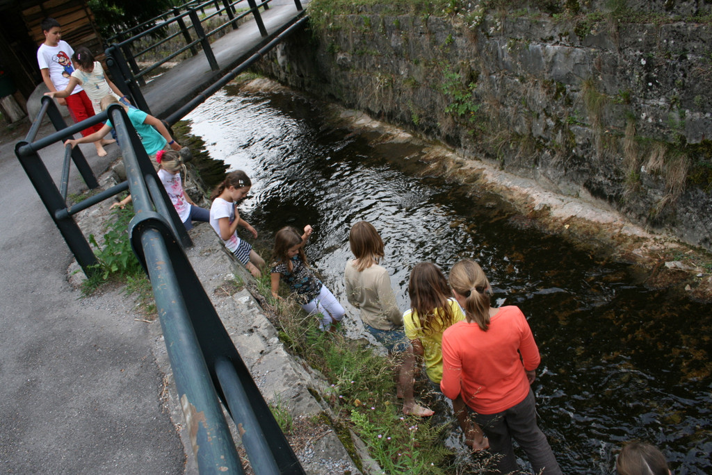 IMG_0787_JPG-1343655266