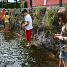 IMG_0796_JPG-1343655340