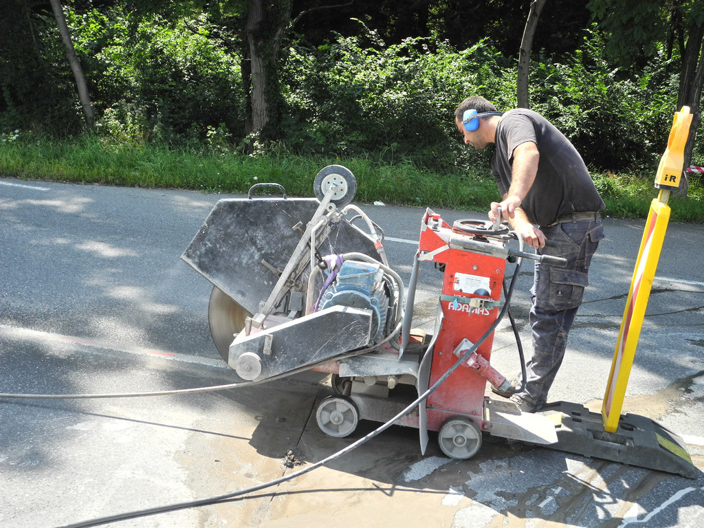 DSCN7559_JPG-1343659390