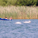 115_1723_JPG-1343723992