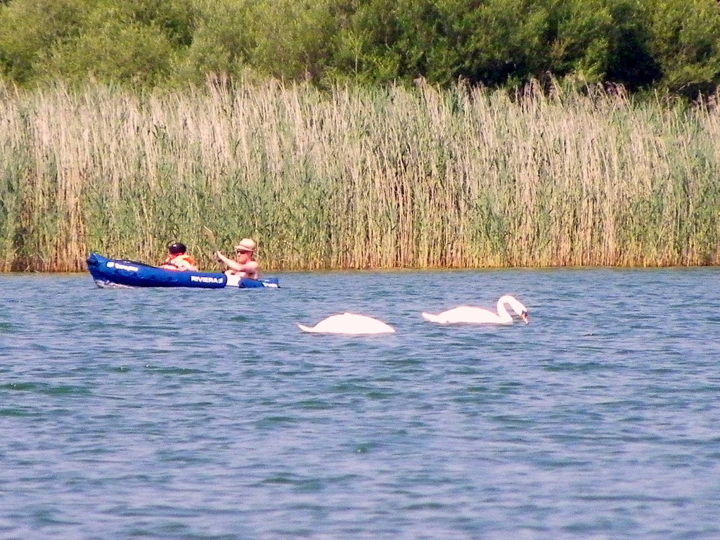 115_1723_JPG-1343723992