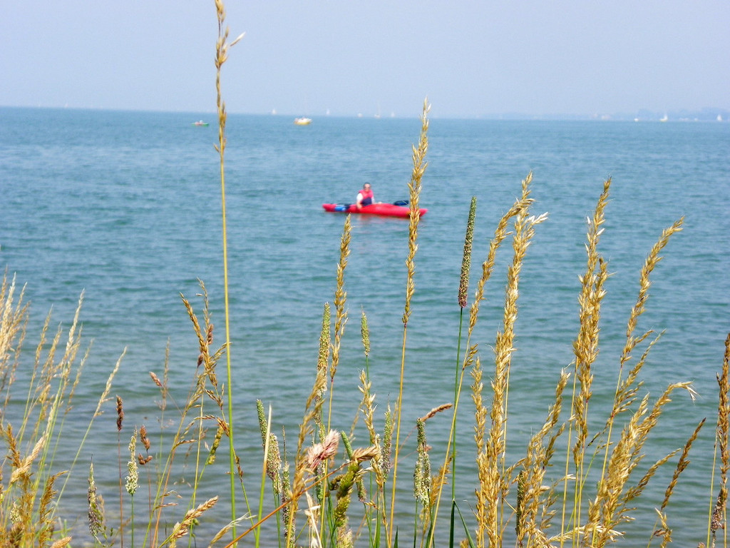 115_1752_JPG-1343724009