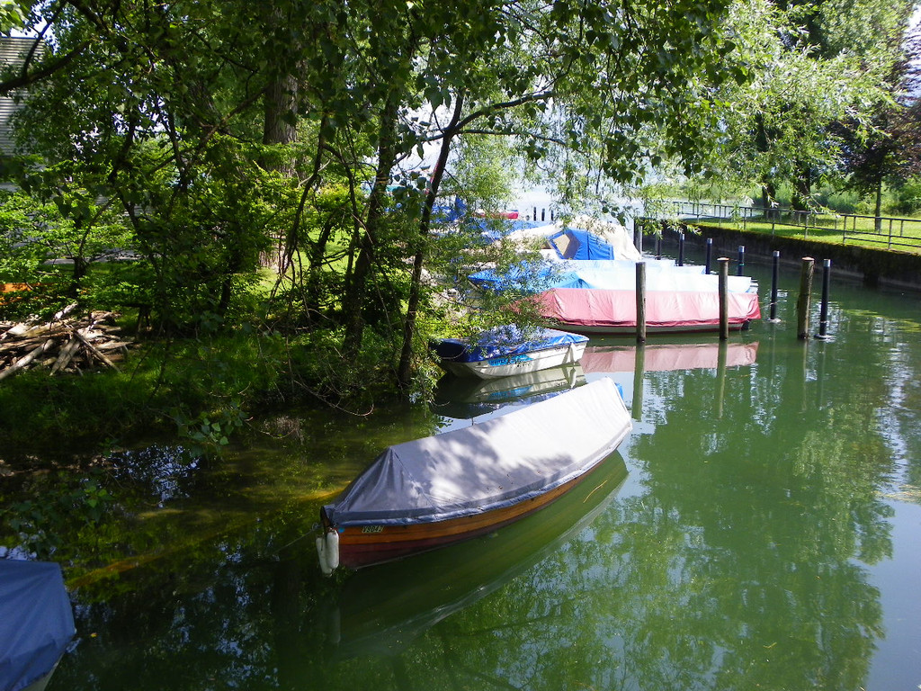 115_1850_JPG-1343724720