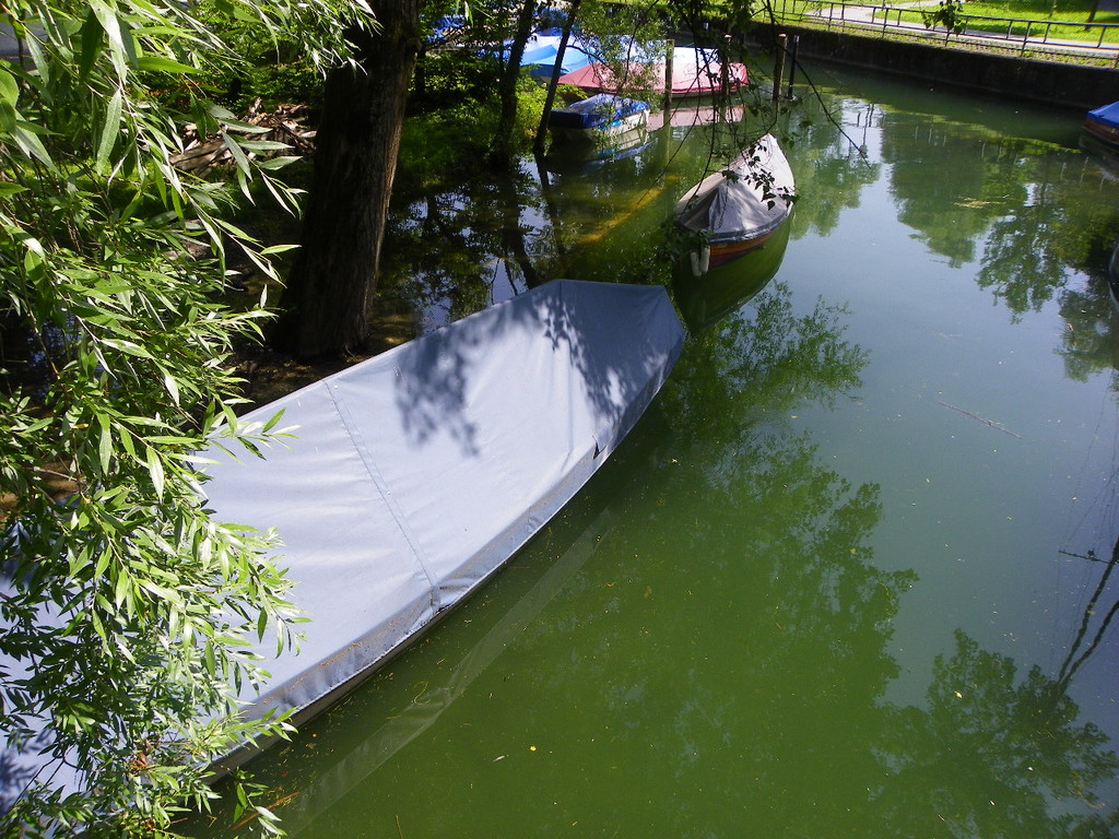 115_1848_JPG-1343724708