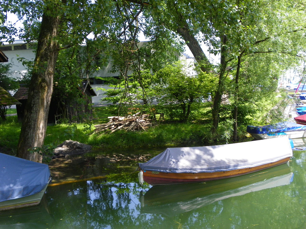 115_1851_JPG-1343724727