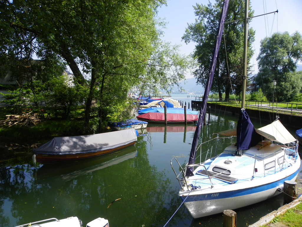 115_1852_JPG-1343724733