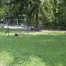 IMG_3137.JPG