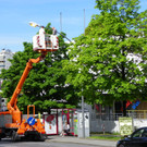 114_6920_JPG-1343737492