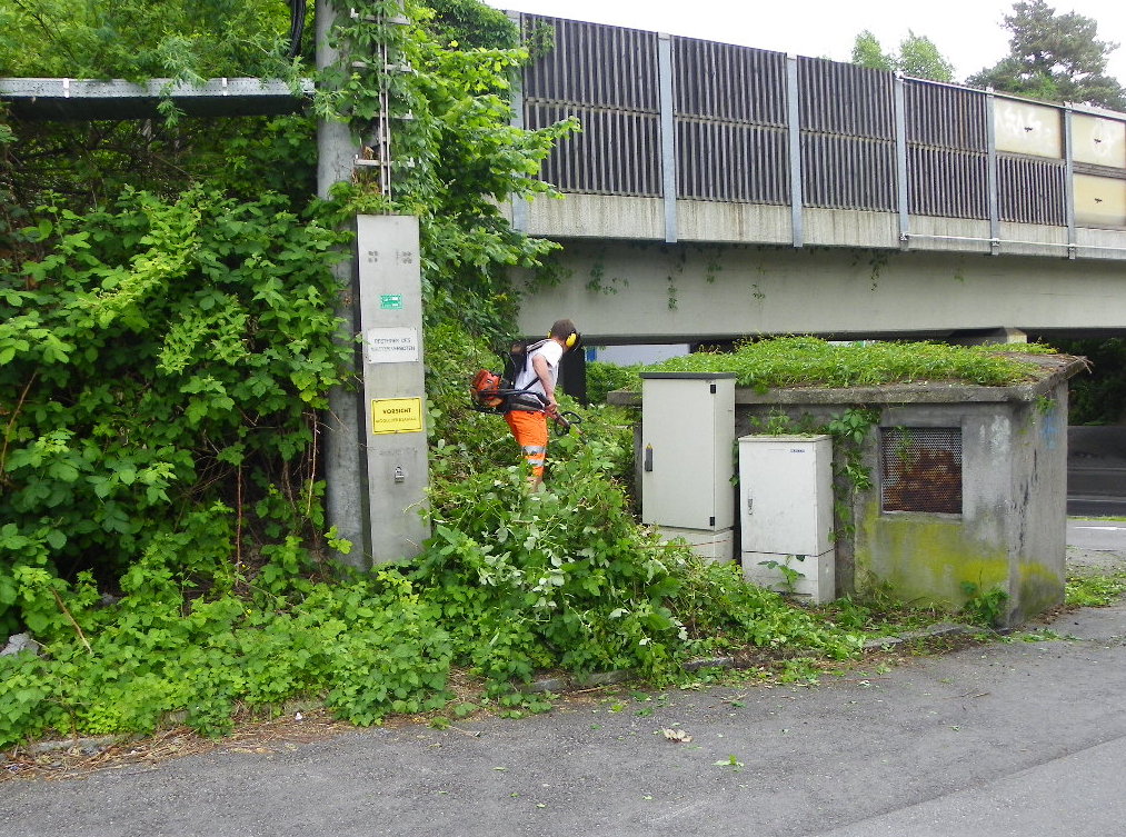 114_8020_JPG-1343738841