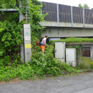 114_8020_JPG-1343738841