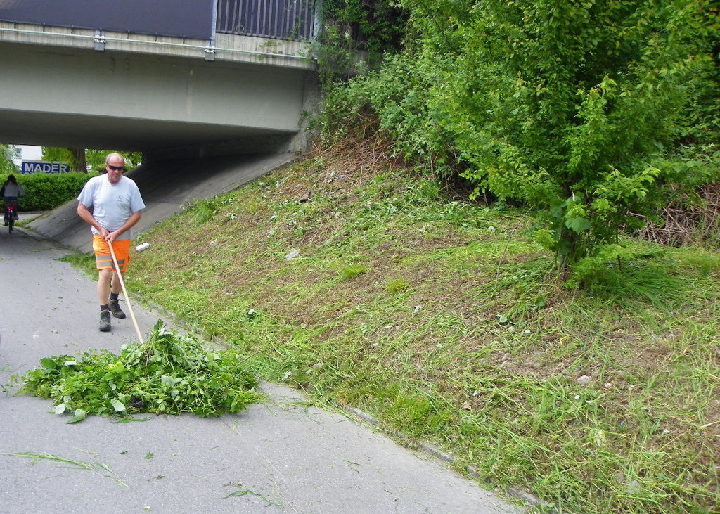 114_8017_JPG-1343738831