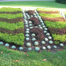 IMG_7688_JPG-1343738965