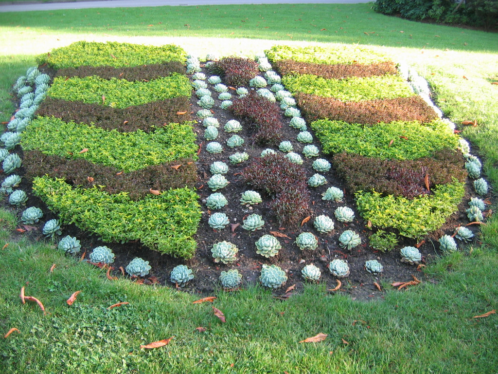 IMG_7688_JPG-1343738965