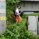 114_8022_JPG-1343738847