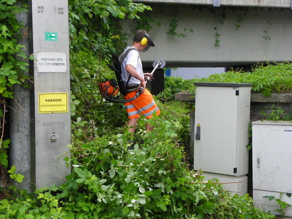 114_8022_JPG-1343738847