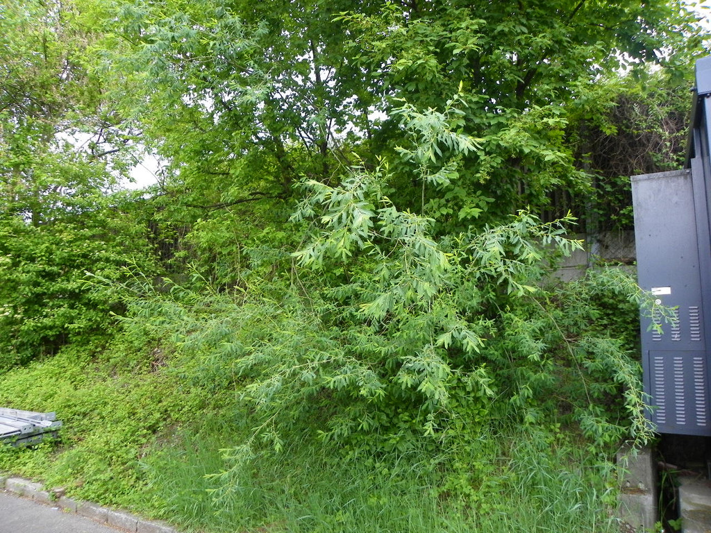 114_8026_JPG-1343738853