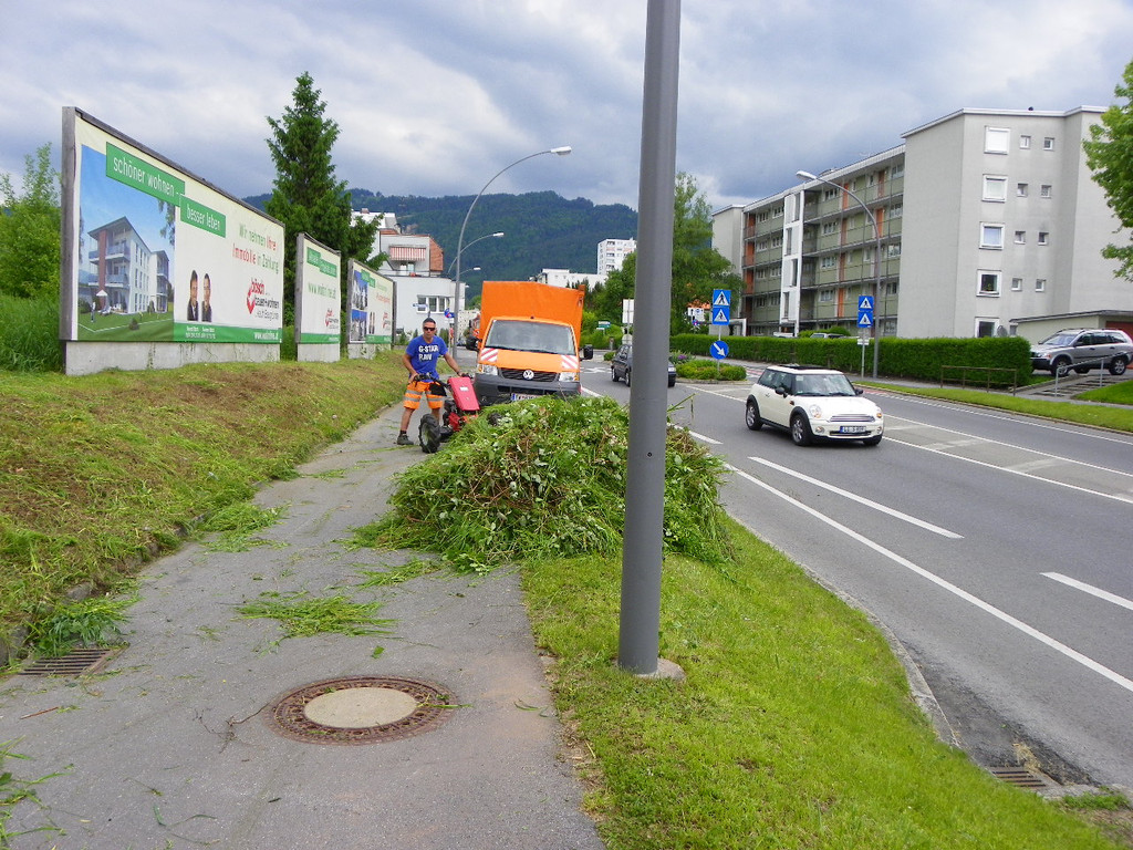 114_8015_JPG-1343738820