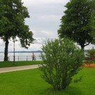 IMG_4757_JPG-1343738939