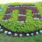 IMG_7689_JPG-1343738989