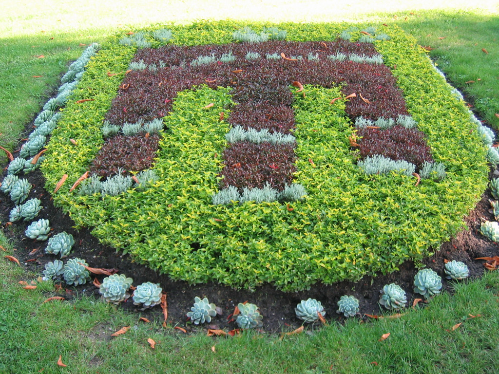 IMG_7689_JPG-1343738989