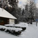 Winter - Eis - Frutz 010 041.jpg