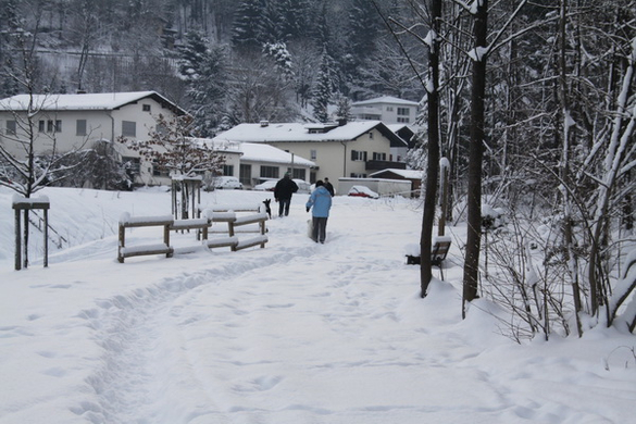 Winter - Eis - Frutz 010 057.jpg