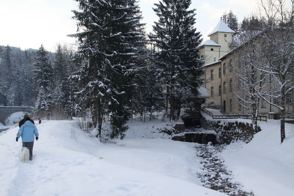 Winter - Eis - Frutz 010 058.jpg