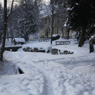 Winter - Eis - Frutz 010 068.jpg