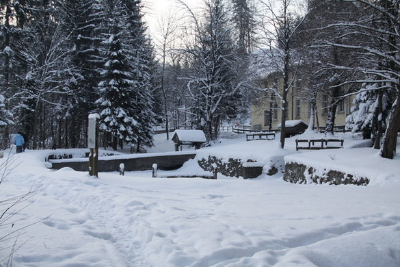 Winter - Eis - Frutz 010 072.jpg