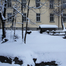 Winter - Eis - Frutz 010 085.jpg