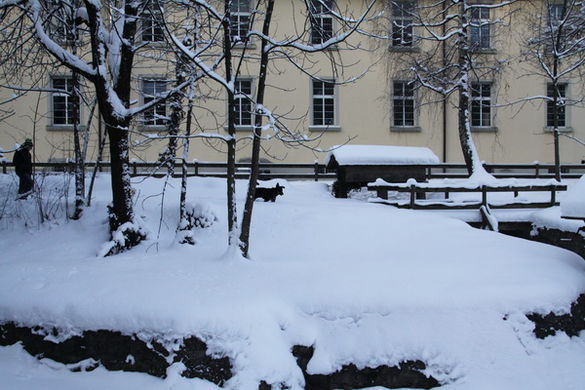 Winter - Eis - Frutz 010 085.jpg
