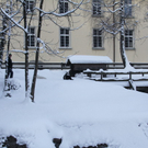 Winter - Eis - Frutz 010 086.jpg