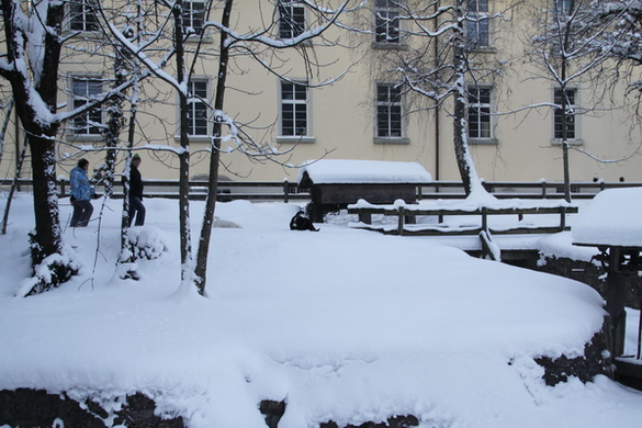 Winter - Eis - Frutz 010 086.jpg