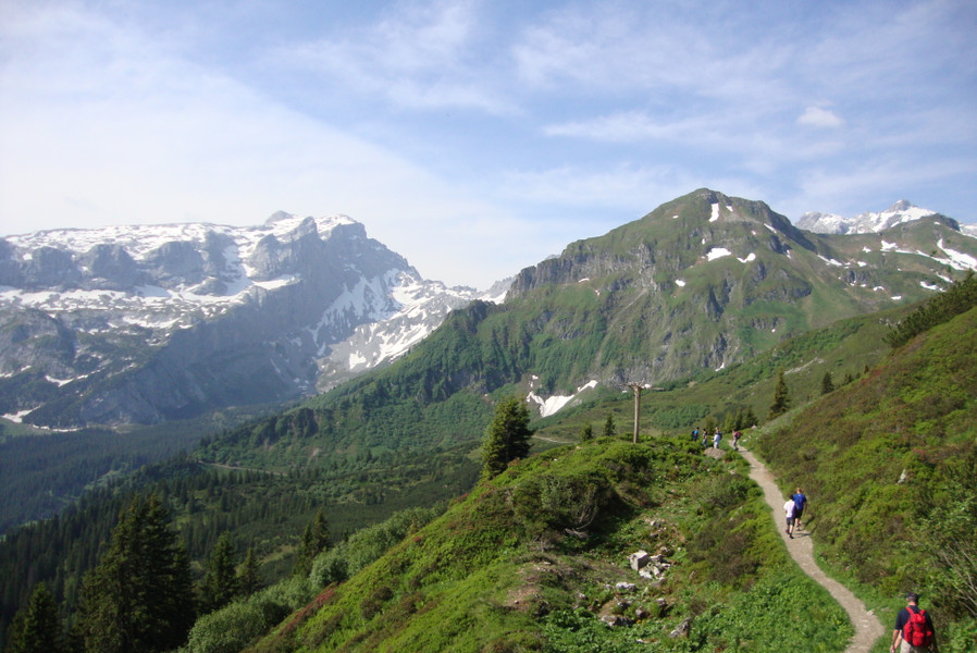 DSC04477 - Kopie_JPG-1343750116