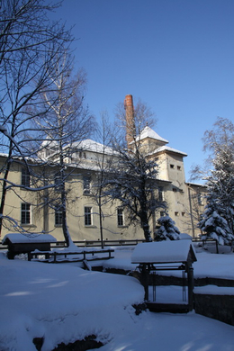 Winter - Eis - Frutz 010 448.jpg