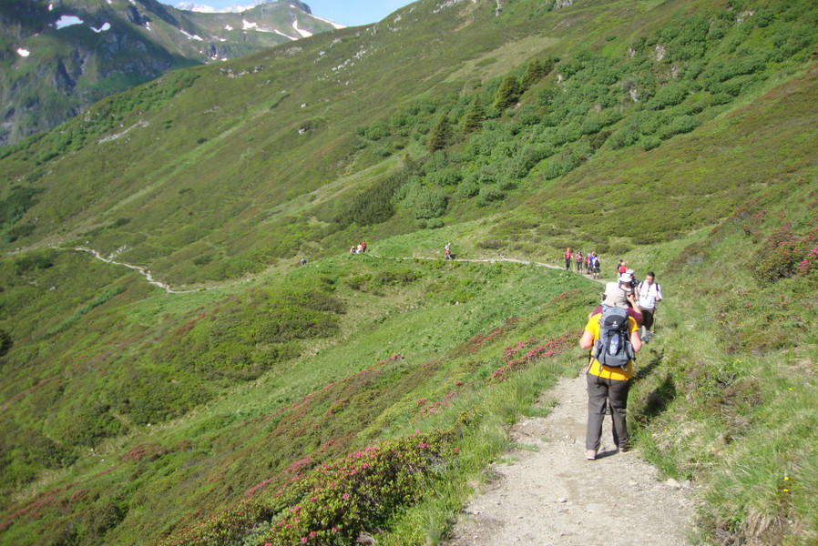 DSC04487 - Kopie_JPG-1343750158