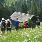 DSC04515 - Kopie_JPG-1343750405